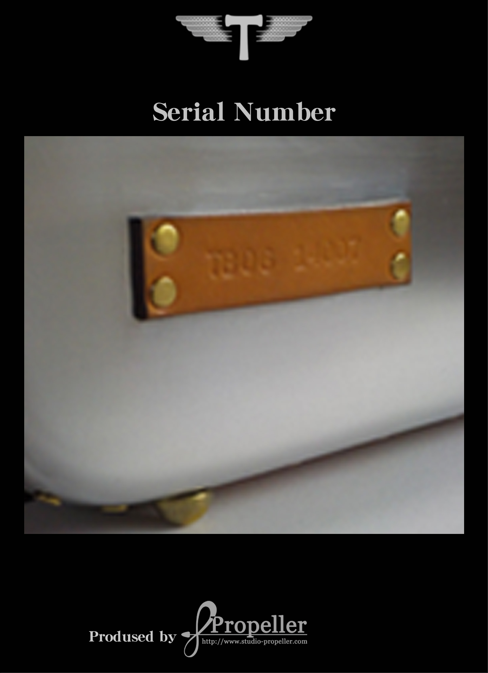 stitchbuddy serial number